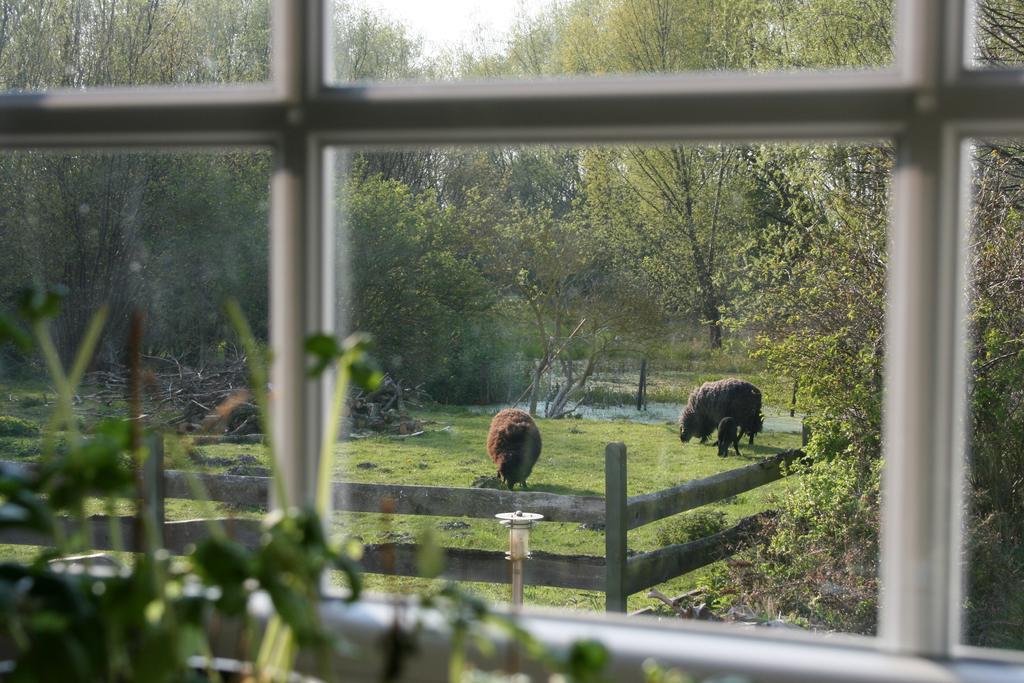 Ostseestuev Boiensdorf Rom bilde